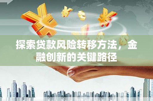 巍山探索贷款风险转移方法，金融创新的关键路径