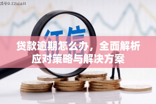 巍山贷款逾期怎么办，全面解析应对策略与解决方案