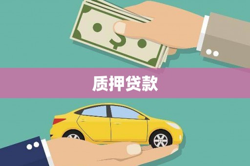 巍山质押贷款