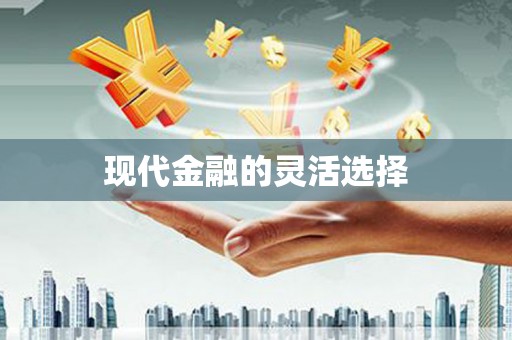巍山现代金融的灵活选择