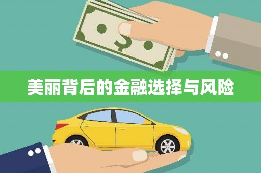 巍山美丽背后的金融选择与风险