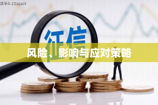 巍山风险、影响与应对策略