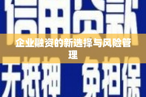 巍山企业融资的新选择与风险管理
