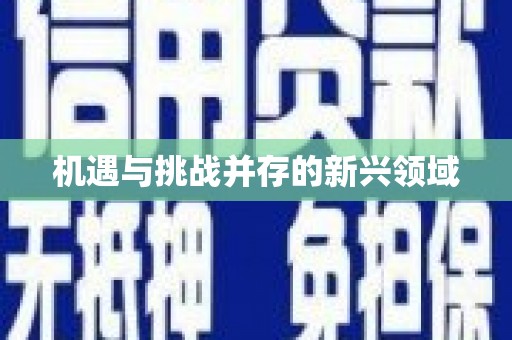 巍山机遇与挑战并存的新兴领域