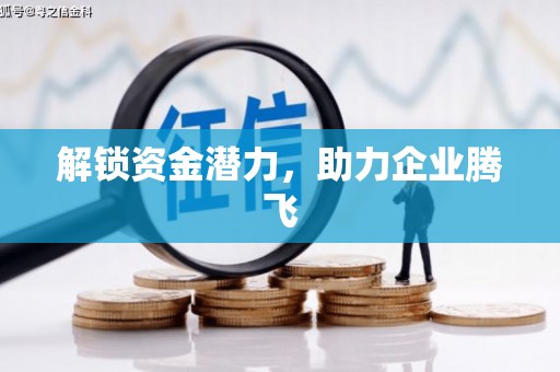 巍山解锁资金潜力，助力企业腾飞