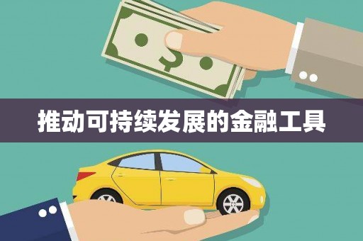巍山推动可持续发展的金融工具