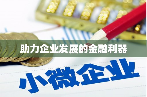 巍山助力企业发展的金融利器