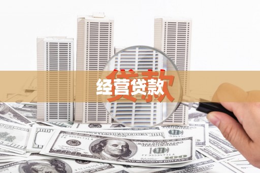 巍山经营贷款