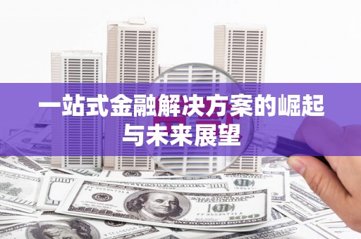 巍山一站式金融解决方案的崛起与未来展望