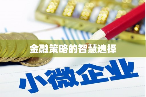 巍山金融策略的智慧选择