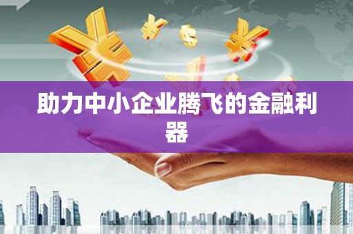 巍山助力中小企业腾飞的金融利器
