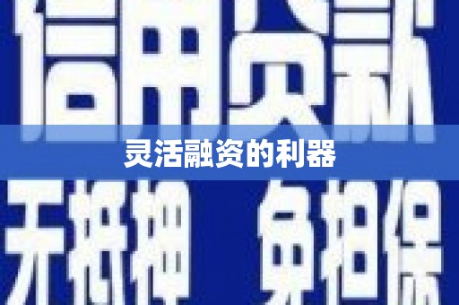 巍山灵活融资的利器