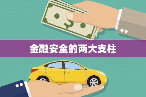 巍山金融安全的两大支柱