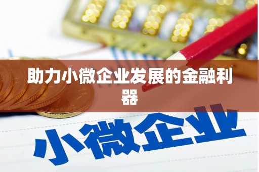 巍山助力小微企业发展的金融利器