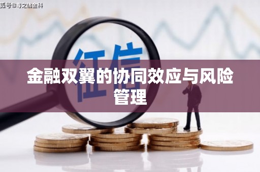 巍山金融双翼的协同效应与风险管理