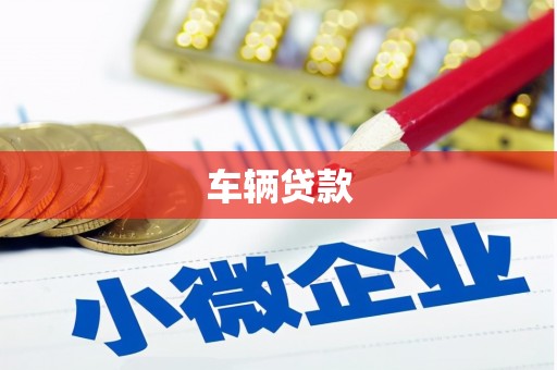 巍山车辆贷款