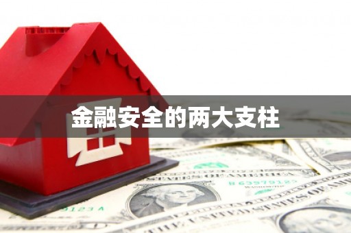 巍山金融安全的两大支柱