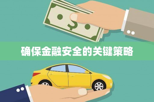 巍山确保金融安全的关键策略