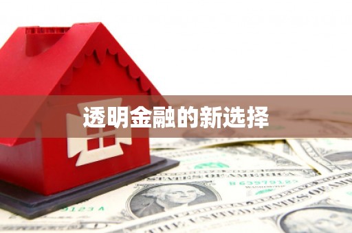巍山透明金融的新选择