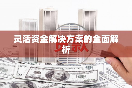 巍山灵活资金解决方案的全面解析