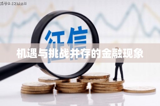 巍山机遇与挑战并存的金融现象