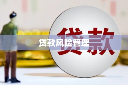 巍山贷款风险管理