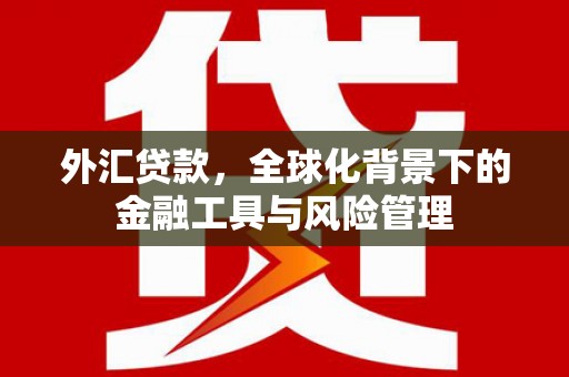 巍山外汇贷款，全球化背景下的金融工具与风险管理