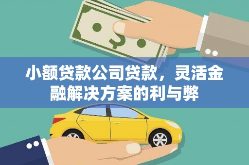 巍山小额贷款公司贷款，灵活金融解决方案的利与弊