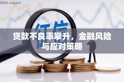 巍山贷款不良率攀升，金融风险与应对策略