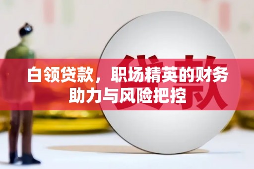 巍山白领贷款，职场精英的财务助力与风险把控