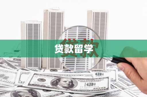 巍山贷款留学