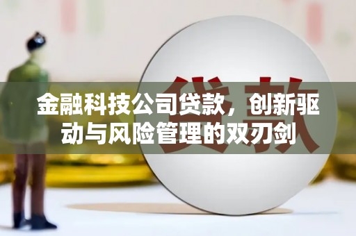 巍山金融科技公司贷款，创新驱动与风险管理的双刃剑